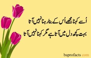 Love Poetry in Urdu 2 Lines