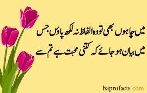 Love Poetry in Urdu 2 Lines