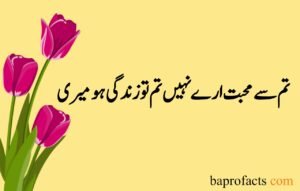 Love Poetry in Urdu 2 Lines