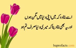 Love Poetry in Urdu 2 Lines