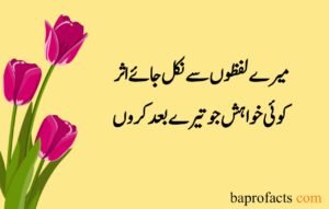 Love Poetry in Urdu 2 Lines