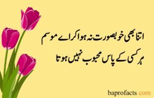 Love Poetry in Urdu 2 Lines