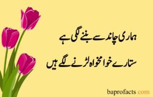 Love Poetry in Urdu 2 Lines