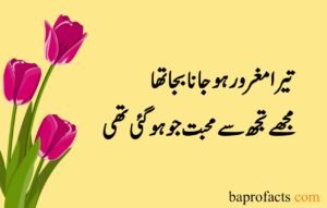 Love Poetry in Urdu 2 Lines