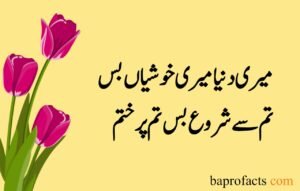 Love Poetry in Urdu 2 Lines