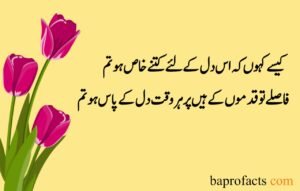 Love Poetry in Urdu 2 Lines