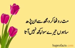 Love Poetry in Urdu 2 Lines