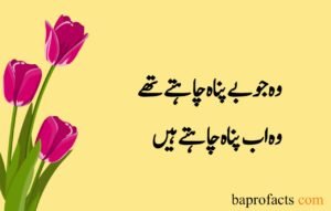 Love Poetry in Urdu 2 Lines