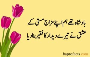 Love Poetry in Urdu 2 Lines