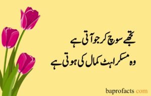 Love Poetry in Urdu 2 Lines