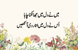 Deep Love Poetry in Urdu SMS