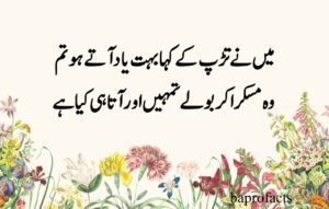 Deep Love Poetry in Urdu SMS