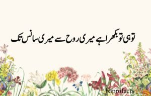 Deep Love Poetry in Urdu SMS