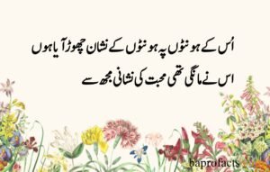 Deep Love Poetry in Urdu SMS