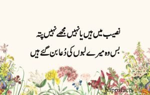 Deep Love Poetry in Urdu SMS