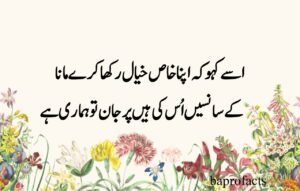 Deep Love Poetry in Urdu SMS