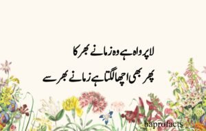 Deep Love Poetry in Urdu SMS