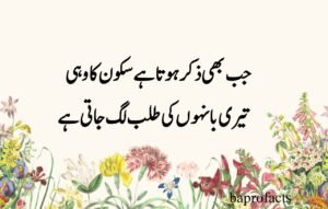 Deep Love Poetry in Urdu SMS