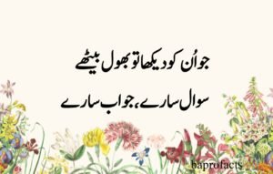 Deep Love Poetry in Urdu SMS