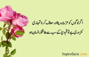 Sad Quotes about Life in Urdu