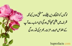 Sad Quotes about Life in Urdu