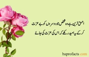 Sad Quotes about Life in Urdu