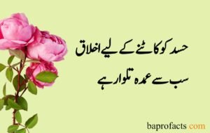 Sad Quotes about Life in Urdu