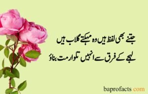 Sad Quotes about Life in Urdu