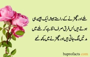 Sad Quotes about Life in Urdu