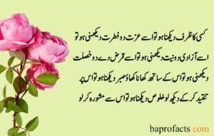 Sad Quotes about Life in Urdu