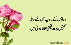 Sad Quotes about Life in Urdu