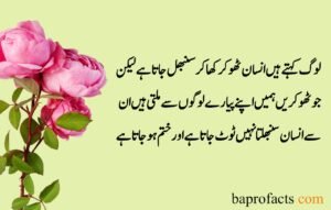 Sad Quotes about Life in Urdu