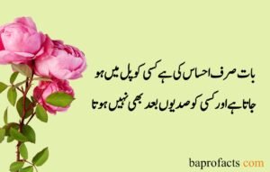 Sad Quotes about Life in Urdu