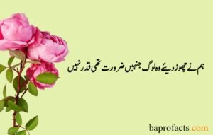 Sad Quotes about Life in Urdu