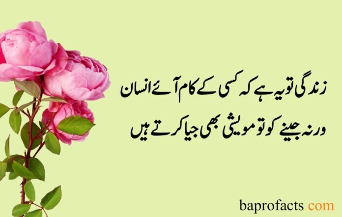 Sad Quotes about Life in Urdu