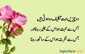 Sad Quotes about Life in Urdu