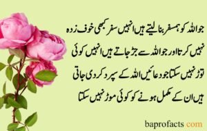 Sad Quotes about Life in Urdu