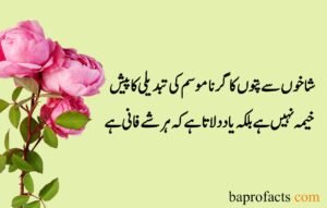 Sad Quotes about Life in Urdu