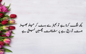 Deep Sad Quotes about Life in Urdu 