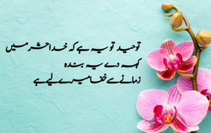 Islamic Quotes in Urdu for Dp