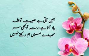 Islamic Quotes in Urdu for Dp