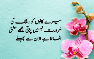 Islamic Quotes in Urdu for Dp