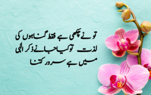 Islamic Quotes in Urdu for Dp