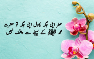 Islamic Quotes in Urdu for Dp