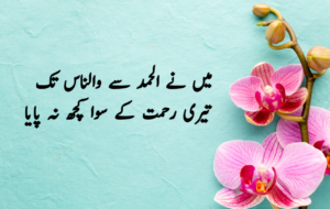 Islamic Quotes in Urdu for Dp