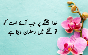 Islamic Quotes in Urdu for Dp