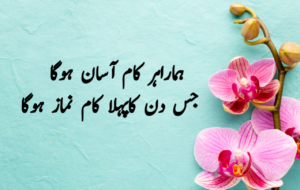 Islamic Quotes in Urdu for Dp