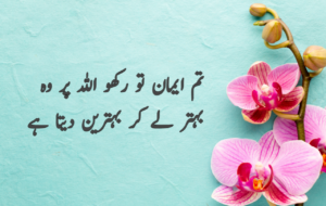 Islamic Quotes in Urdu for Dp