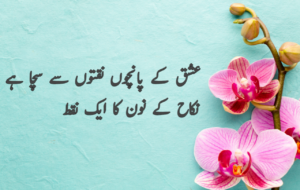 Islamic Quotes in Urdu for Dp