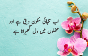 Islamic Quotes in Urdu for Dp